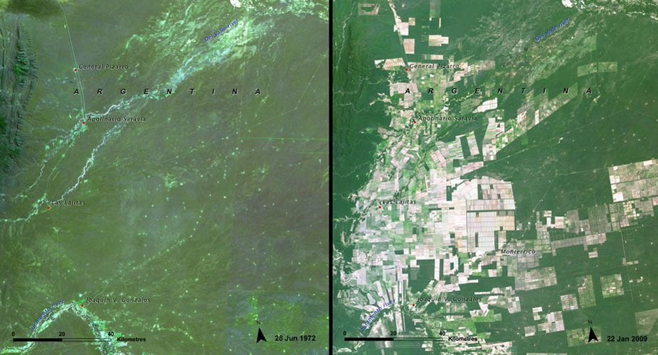 6. 阿根廷的雨林地，因為農業的開墾而慢慢被吞噬。