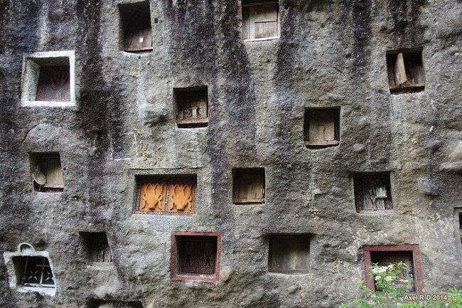 When a member of the Toraja people dies, their bodies aren't buried into the ground. They are instead put into elaborate cave tombs dug into the mountain. Before this can happen, there is the Rambu Soloq, a series of funeral ceremonies that lasts for several days.