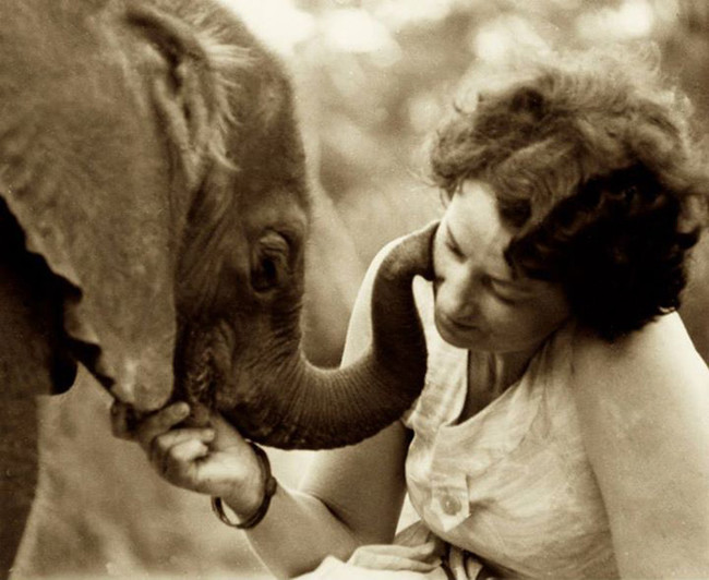 Raised in Kenya, her passion for the endangered animals has been a lifelong endeavor.
