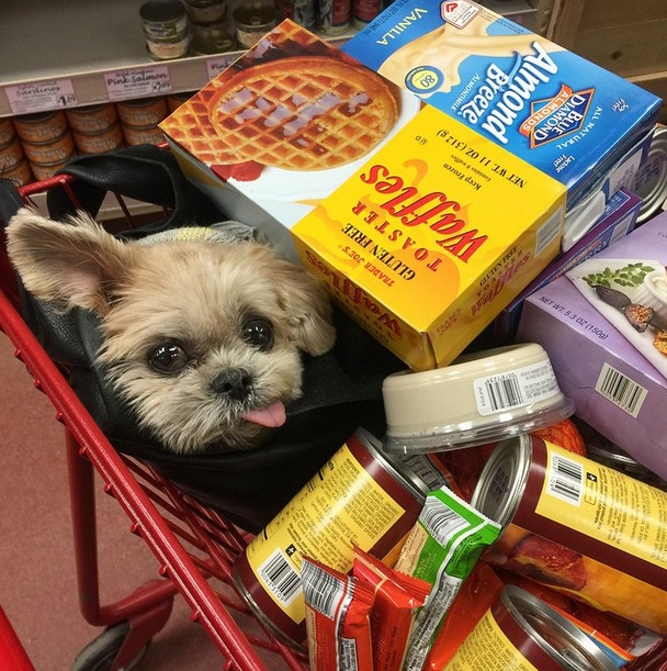 No, Marnie is just like you or me. She goes grocery shopping...
