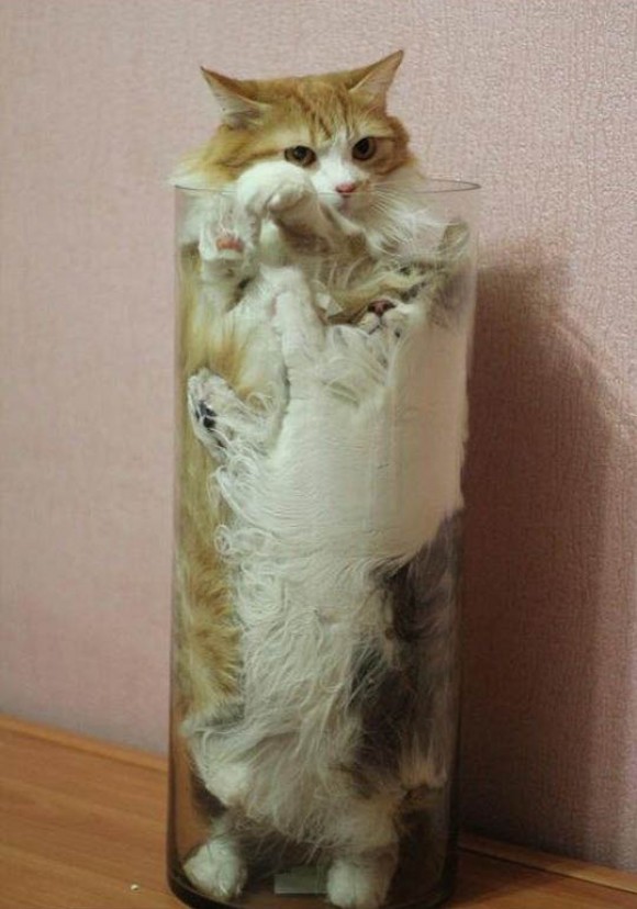 Charlie thought this was a better idea than giving his brother a solo turn in the vase.