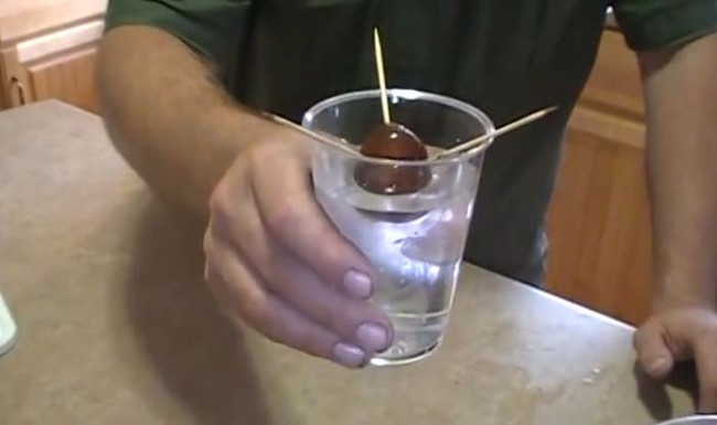 Next, fill the cup up with water so that the bottom half of the pit is submerged.