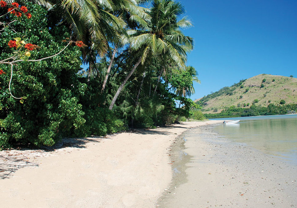 岛上布满了白色的沙滩、椰子树和其他热带植物。