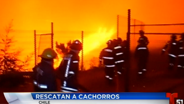在智利瓦尔帕莱索 (Valparaíso) 发生了一起森林大火，接着就发生了一个相当令人感动的故事...