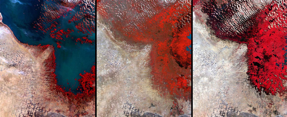 8. 非洲查德湖 (Lake Chad)，在1960年代，它還是全世界第6大的湖泊，卻在2002年縮水至只有它原來12分之1的大小，湖泊慢慢消退變成紅色的沼澤。