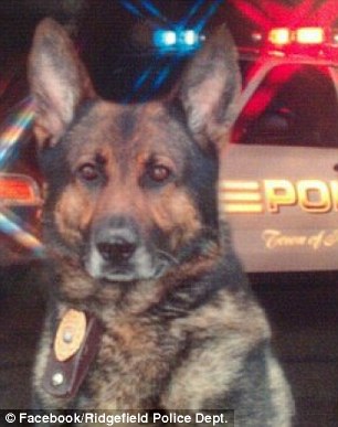The police department said it was an honor to work beside Zeus