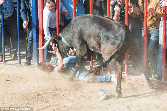 The bullrunning takes place during the town's annual fiesta, which includes float parades in honour of Sant Vicent Ferrer, the village's patron saint