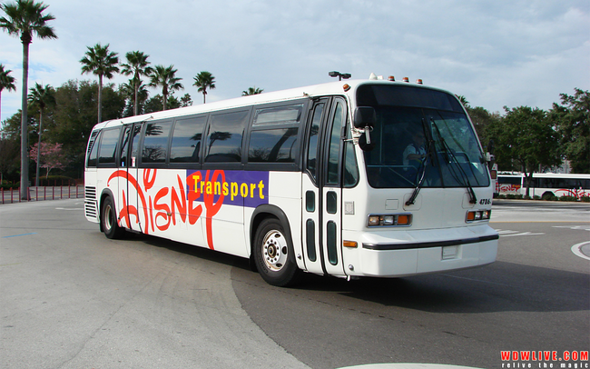 The Disney Bus Transportation system is the 3rd largest bus system in Florida.