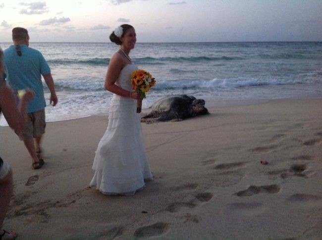 "Listen, lady, <em>you're</em> the one who wanted a beach wedding."