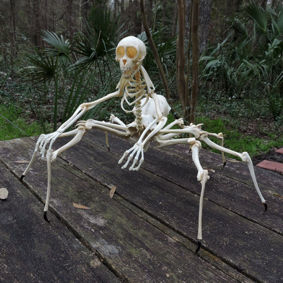 A spider-lookin' mutant skeleton made from real bones.