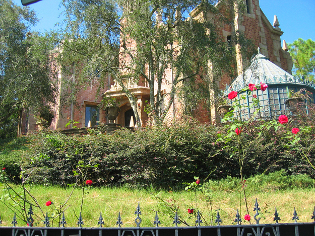 While most of the lawns at Disney parks are meticulously tended to, the lawn at "The Haunted Mansion" is left to grow out and die, to match the mood of the ride.