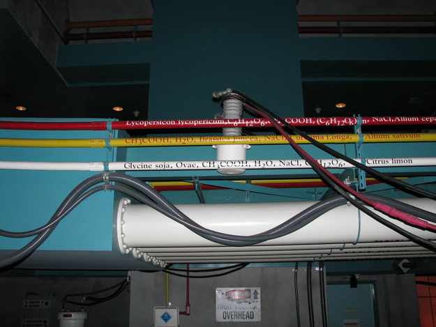 On the "Dinosaur" ride in Animal Kingdom, there are three pipes in the queuing area with chemical formulas printed on them. The formulas on the pipes are for ketchup, mustard, and mayonnaise.