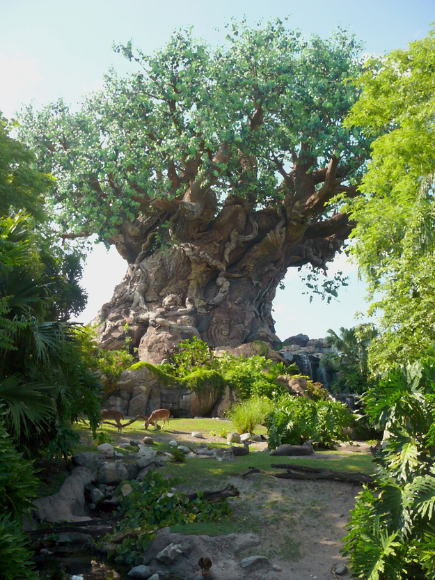 The 14-story "Tree of Life" in the middle of Animal Kingdom is actually an old oil rig.