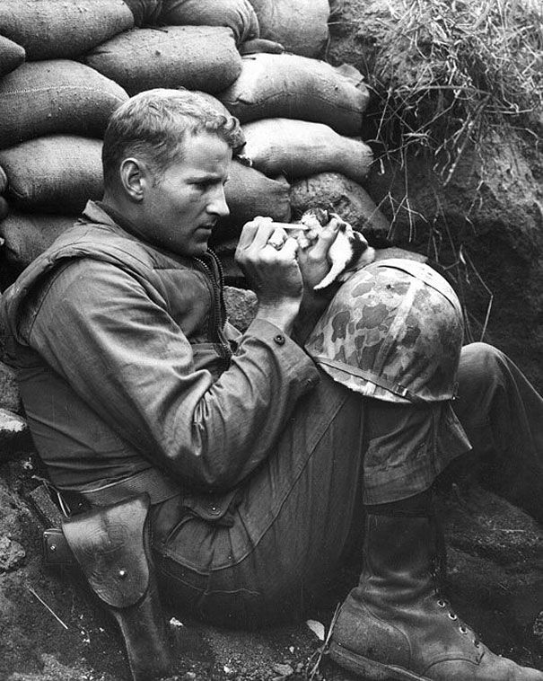 Marine Sergeant Frank Praytor Feeding An Orphaned Kitten. He Adopted The Kitten After The Mother Cat Died From The War.