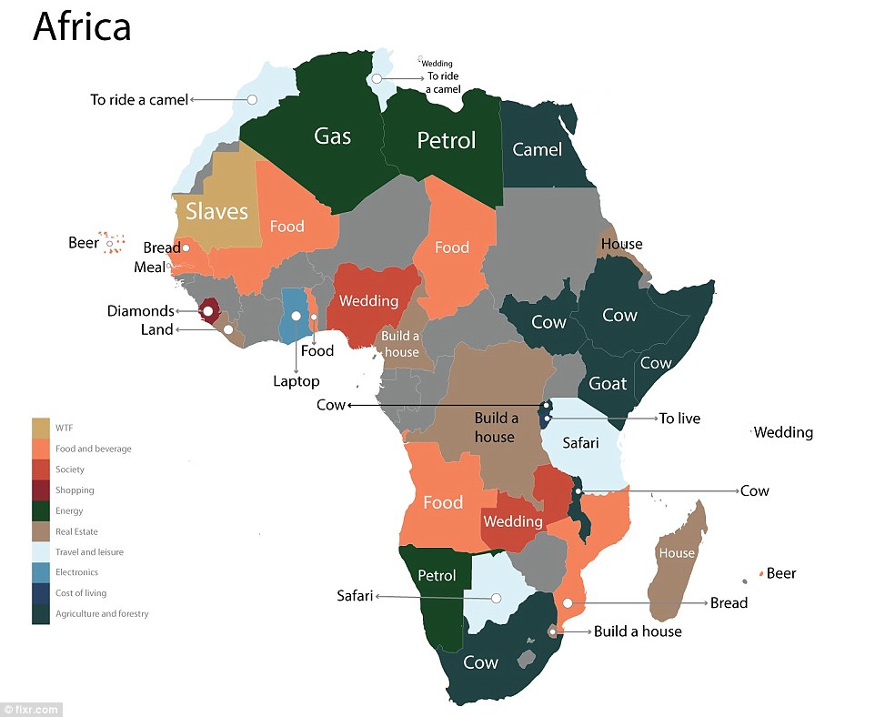 Perhaps unsurprisingly, people in Africa are most concerned with daily necessities such as food and livestock in the form of camels, cows and goats. Price queries include the cost of bread and houses, as well as tourist attractions and luxuries such as diamonds in Sierra Leone, safaris in Tanzania and the cost of riding a camel in Tunisia