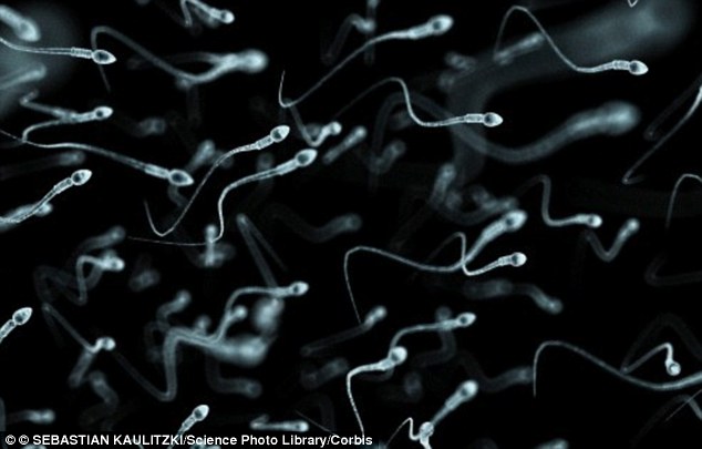 A French company claims it has created 'fully-functioning semen' from scraps of genetic material for the first time in the world