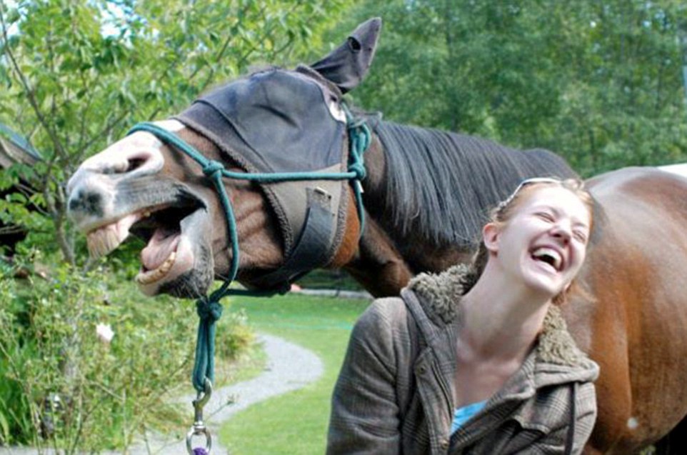 Why did the horse cross the road? Because someone called out 'hey!': A giggling gelding perfects this moment with his owner, who is in hysterics