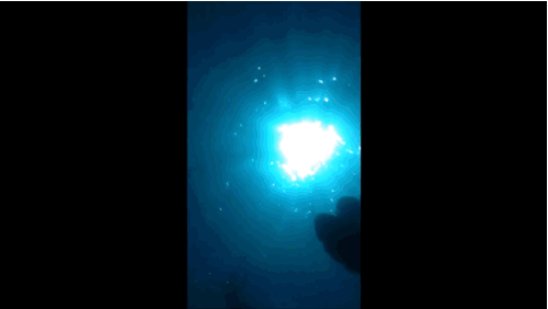 This iPhone Fell To The Bottom Of The Ocean And Recorded The Entire Fall