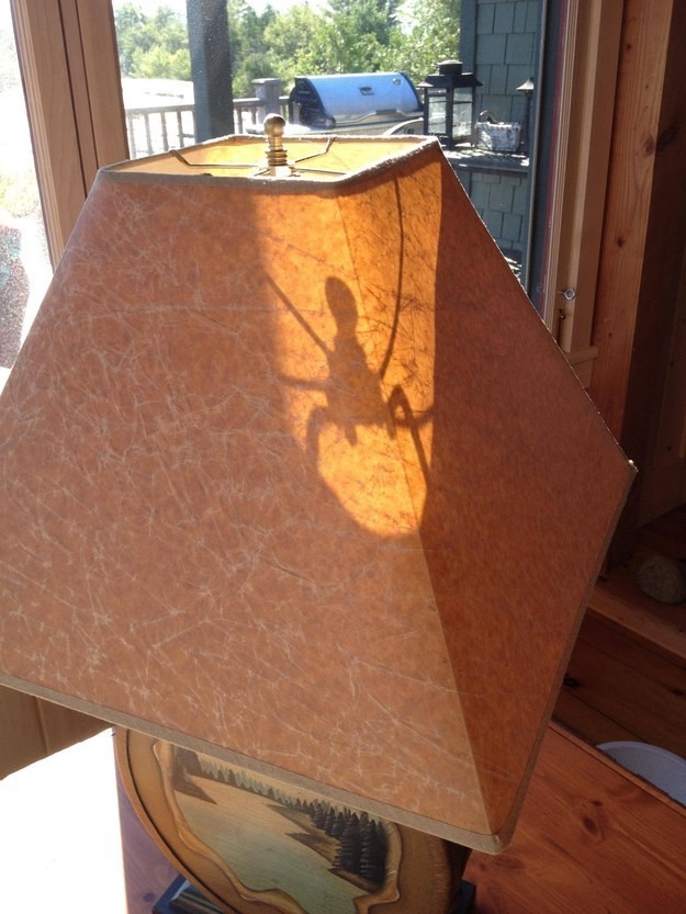 The spider shadow in a lamp.