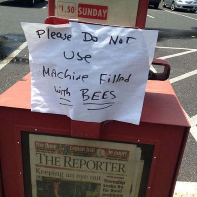 I'd like to know how the bees got in there in the first place.