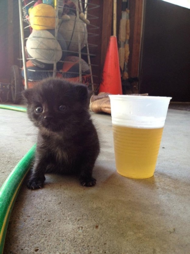 "I don't know how any part of this brewery works but I bet I'm the cutest guide you've seen today." 