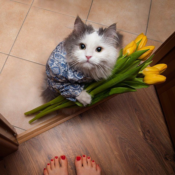 "I know that this isn't the right address, but I smelled meatloaf. You want these flowers? $20 plus tip, please. Also meatloaf."