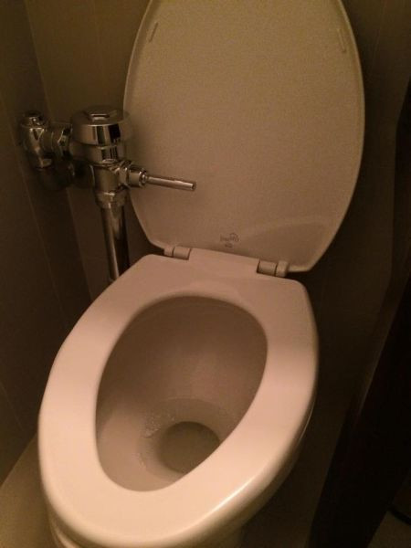 Flush before you even sit down.