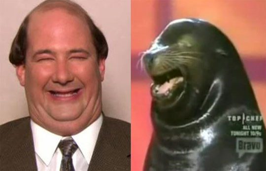 Kevin from The Office looks like a seal.