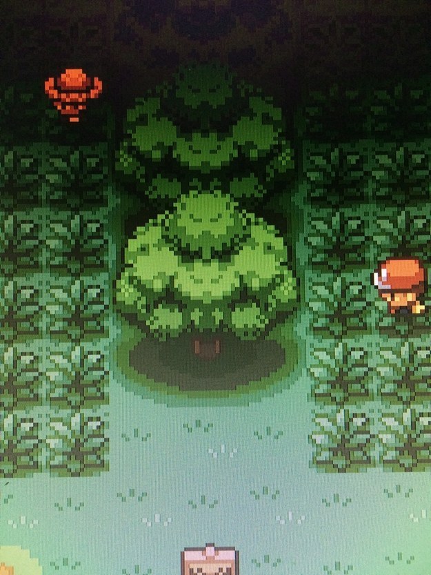 The Pokemon trees look like angry men flexing.