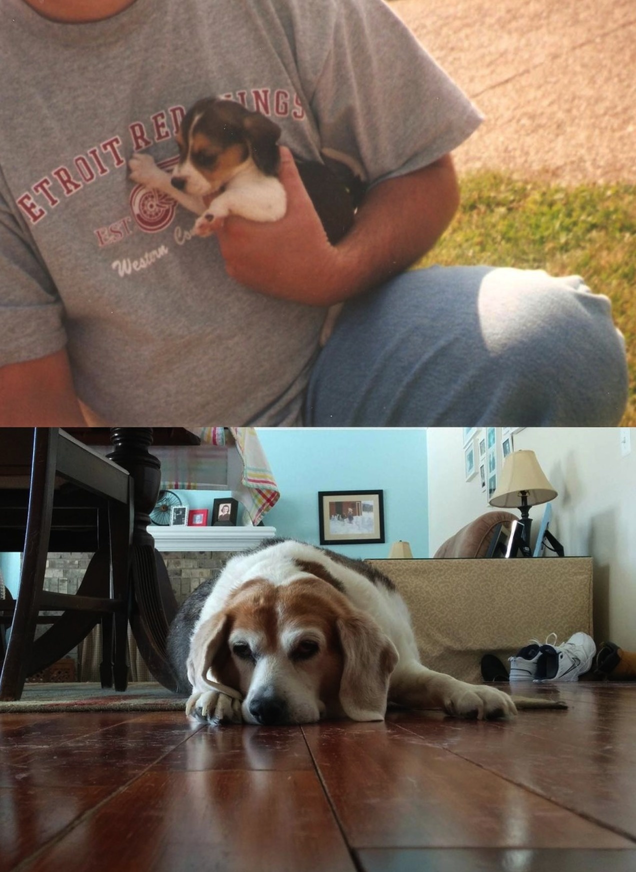 "The first and last photos of my best friend."