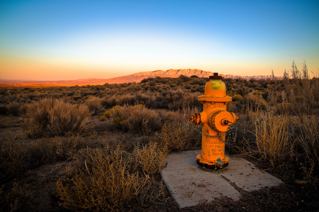 No one knows who invented the fire hydrant, because its patent was destroyed in a fire.