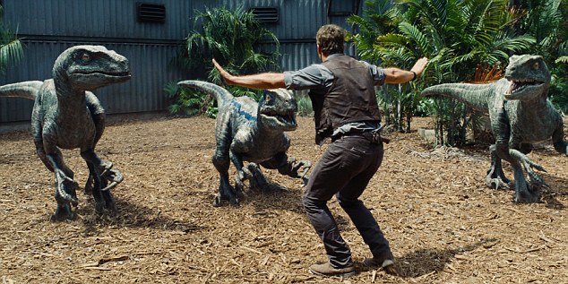 The inspiration: In Jurassic World, the star's character jumps into the velociraptor pen to calm three of the terrifying dinosaurs 