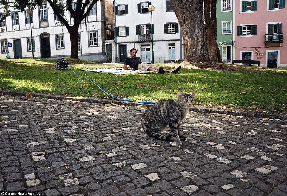 Time to explore! Matt lying on a picnic blanket and Georgie the cat tied up in Horta, in the Azores