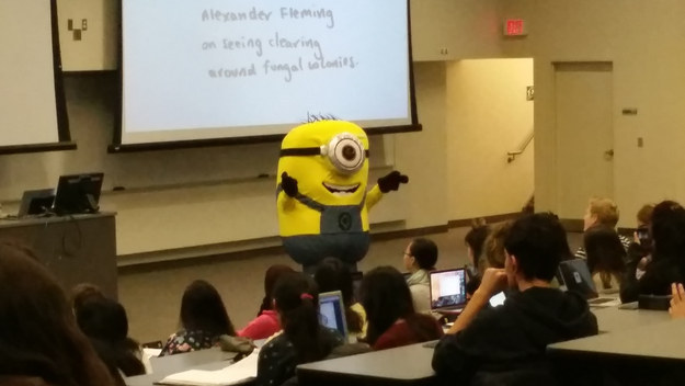 Is there any place that's safe from Minions?