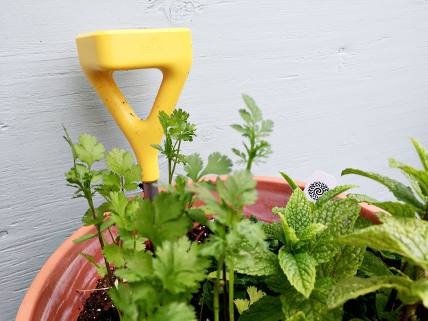 Edyn Smart Garden Sensor — $100