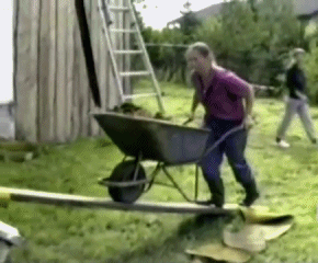 This man, who was just trying to get some yard work done.
