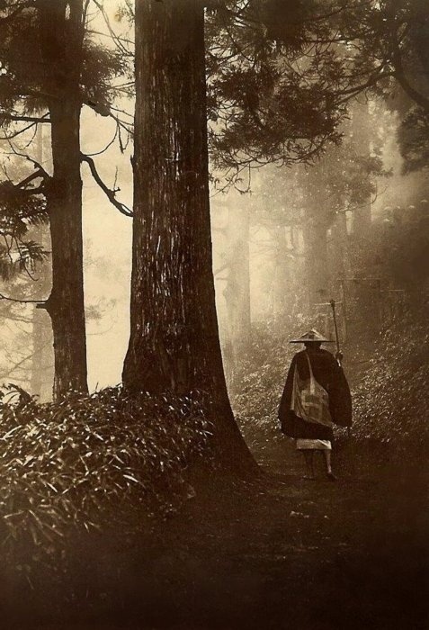 An 1800's traveler, making his way through the forests of Japan.