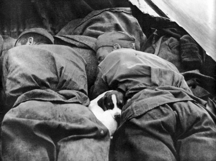 An adorable puppy keeps warm and cuddly  between Russian soldiers in Czechoslovakia. 