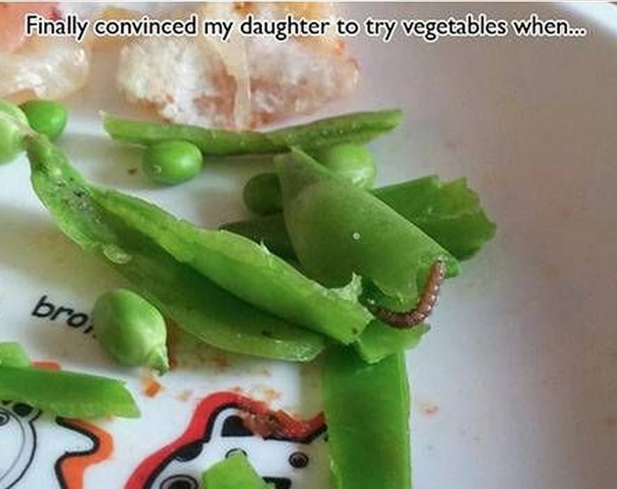 This mom, who will never get her kid to eat vegetables again.