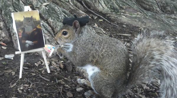 1071284 573002139409086 84353474 o College student befriends a squirrel on campus and pimps out its wardrobe (26 Photos)