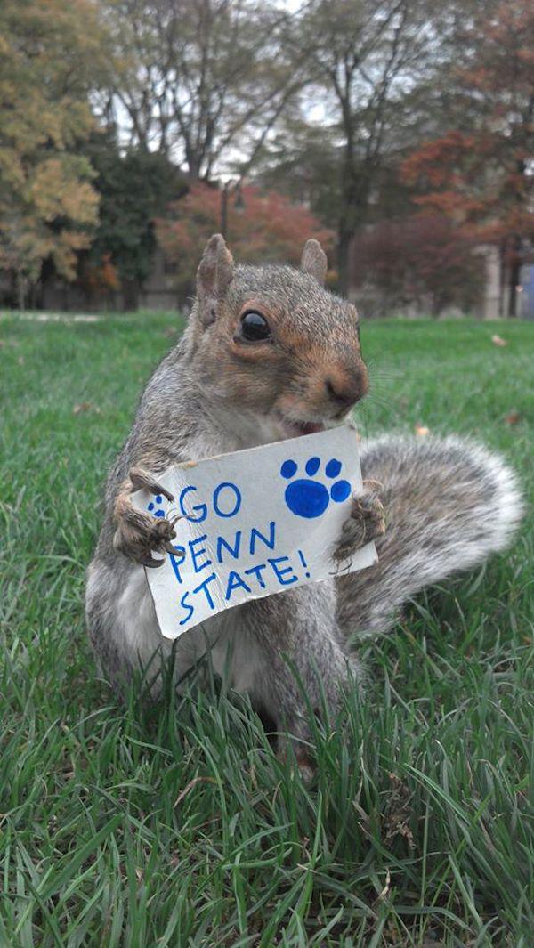 10887203 839485702760727 4601308078043711408 o College student befriends a squirrel on campus and pimps out its wardrobe (26 Photos)