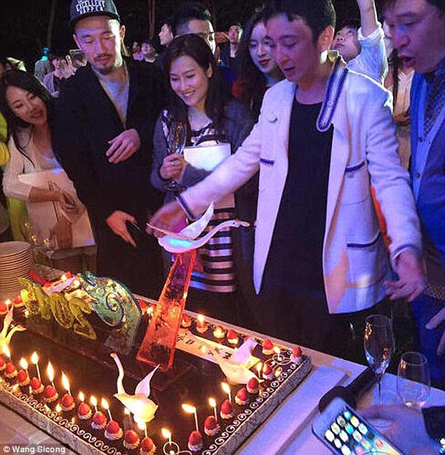 Party time: Wang Sicong (pictured) celebrated his 27th birthday in January at a luxury resort in Sanya where Korean popstar band T-ara performed