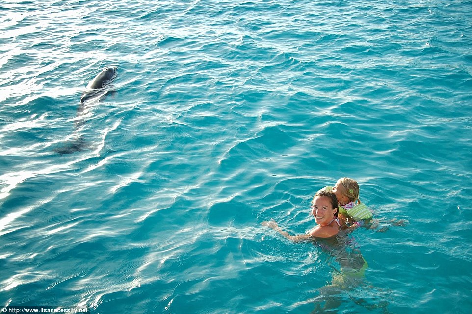 Encountering dolphins: The aqua babies have befriended many animals along the way and practically grown up in the water