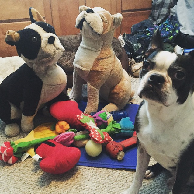 "What are you talking about...there are three of us here, sharing all these toys."