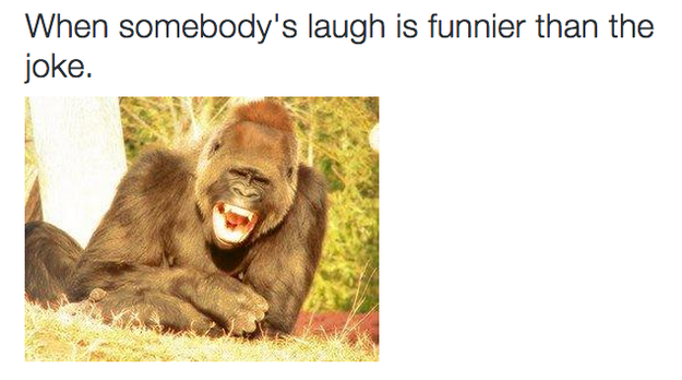 The friend who has a laugh that's funnier than their jokes: