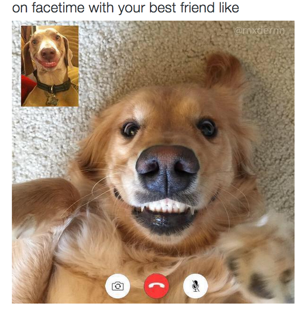 The friend you Facetime with like: