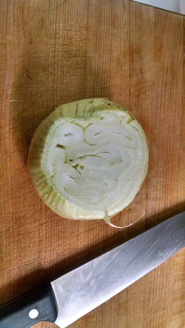 An onion with the rings looped up.