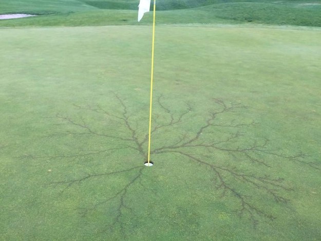 A lightning strike on a flag in a golf course.