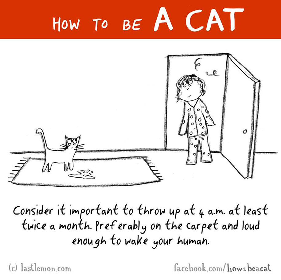 funny-illustration-guide-how-to-be-cat-lisa-swerling-ralph-lazar-17
