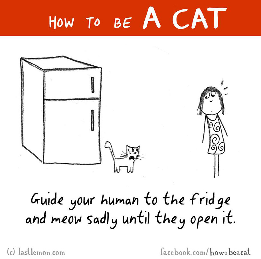 funny-illustration-guide-how-to-be-cat-lisa-swerling-ralph-lazar-23